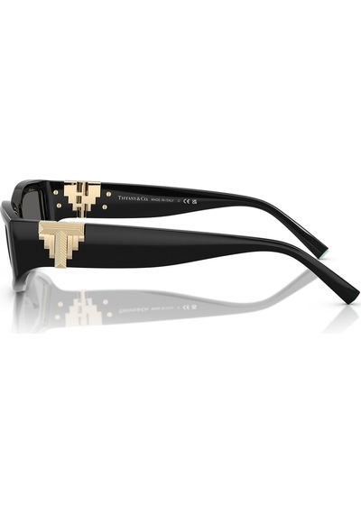 Tiffany Tf4234u 8001s4 55 Unisex Güneş Gözlüğü Siyah