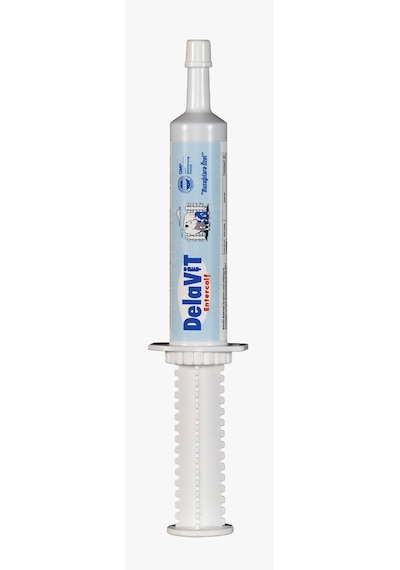 Delavit Entercalf 30 Ml Paste Buzağılara Özel