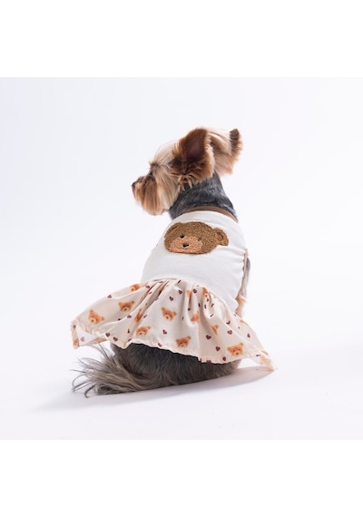 Teddy Belle Ayıcık Desenli Kedi Köpek Elbisesi - Kedi Köpek Kıyafeti