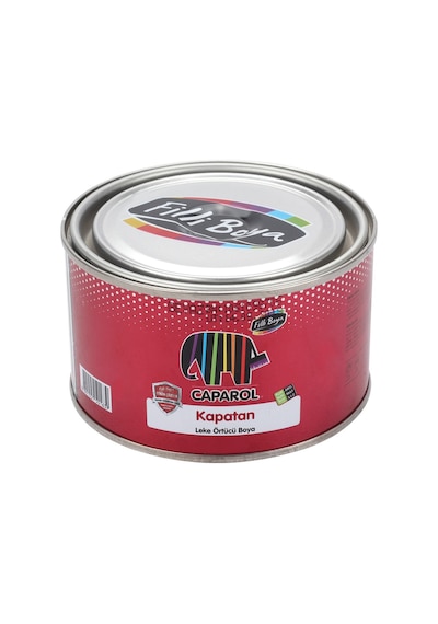 Filli Caparol Kapatan Leke Örtücü Boya 0,25Lt