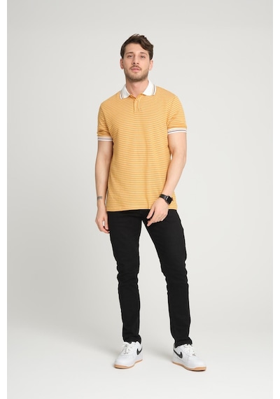 Alexander Gardi Alexandergardı Çizgili Polo Yaka T-shirt E23-0046 001