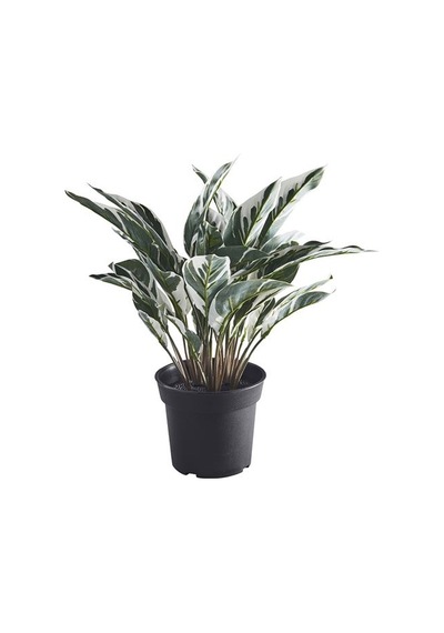 Ikea Fejka Yapay Bitki, Yeşil, 15 Cm, Dua Çiçeği