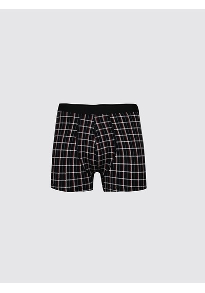 Ltb Boxer (547239877)