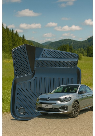 Citroen C4 Elektrikli+uyumlu 3d Oto Paspas Premium