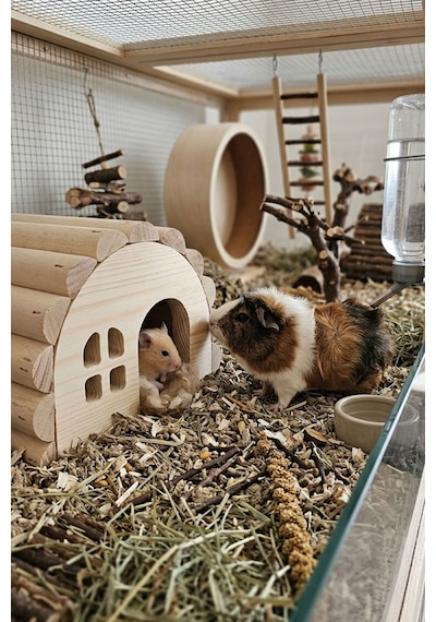 Hamster Evi Doğal Ahşap El Yapımı Hamster Yuvası