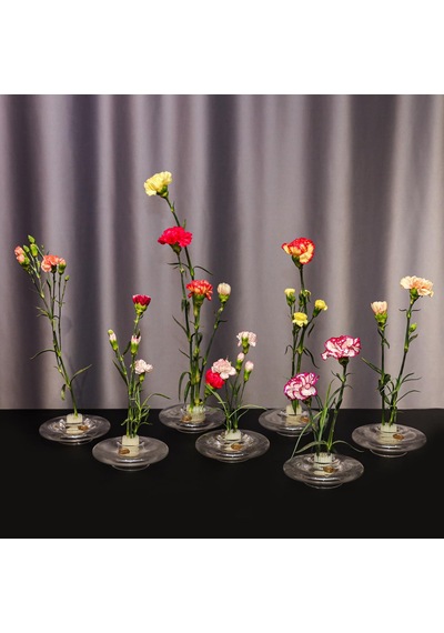 Flora Design-balance Series Cam Vazo Şeffaf