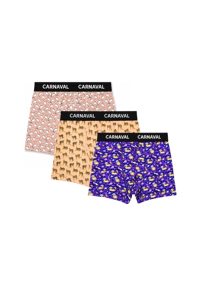 Carnaval Socks Carnaval Wild Orbit Erkek Boxer 3'lü Set Çoklu