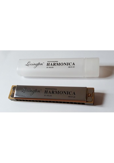 Lexington Hm0120 Mızıka 20 Delikli Orta Boy
