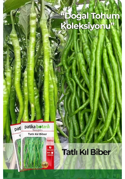 Patika Botanik  200 Adet Tatlı Kıl Biber Tohumu