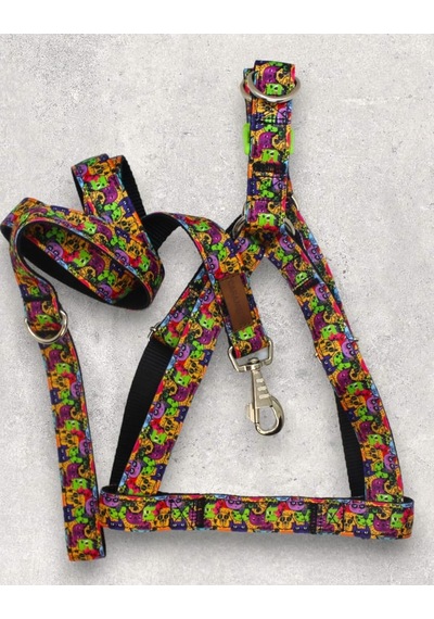 Köpek Tasma Set- Gövde Tasması + Gezdirme Kayışı Karışık 3-m