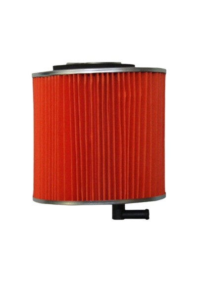 Hava Filtre Elemanı 250 Mct Atl