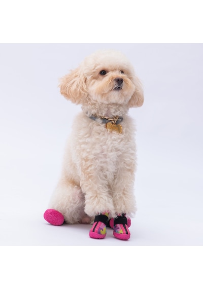 Pawstar Rosea Camouflage Köpek Ayakkabısı
