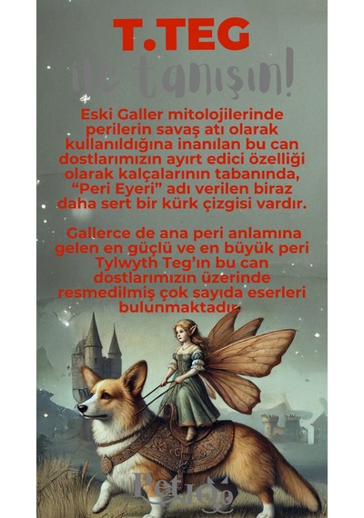 Petjoo 15.T.Teg Gri-Kırmızı Qr'lı Köpek Künyesi