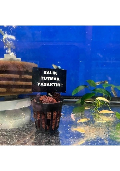 Akvaryum Balık Tutmak Yasaktır Levhası