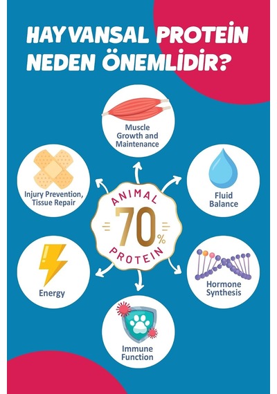 Yetişkin Ufak Irk Kuzu'lu Süper Premium Köpek Maması 1,5 Kg Hipoalerjenik - Düşük Tahıllı - Ufak Ve Mini Irk K