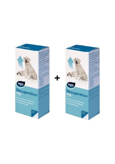 Viyo Recuperation Köpek Ek Besin Takviyesi 2 x 150 ML