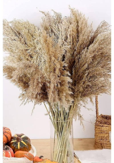 Ayrex Alyones 10 Adet Kurutulmuş Pampas Otu, 100 Cm Boyunda Pampa Otu Görkemli Otu Kabarık Pampas Otu Diğer