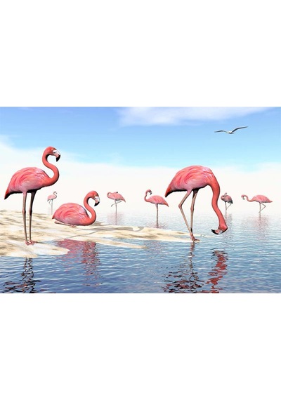 Deniz Kenarında Flamingolar Duvar Kağıdı