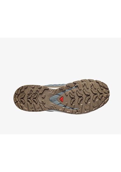 Salomon Xa Pro 3d V9 Gtx Lıfelong M Erkek Outdoor Ayakkabısı L49296100 Gri