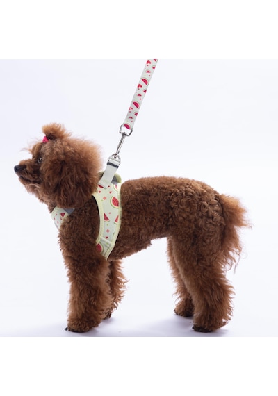 Summer Fresh Göğüs Tasması Ve Sevk Kayışı Tasma Seti Karpuzlu Kedi Köpek Göğüs Tasması Seti Yeşil