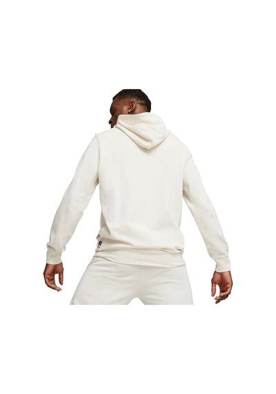 Puma Better Essentials Hoodie Erkek Sweatshirt 67597899-19293 001