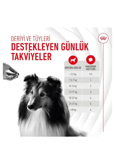 Skin&coat Chews Deri Ve Tüy Sağlığını Destekleyen Tamamlayıcı Ödül Maması 240g