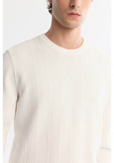 Avva Erkek Ekru Bisiklet Yaka Jakarlı Rayon Tüylenmeyen Regular Fit Triko Kazak A42y5072