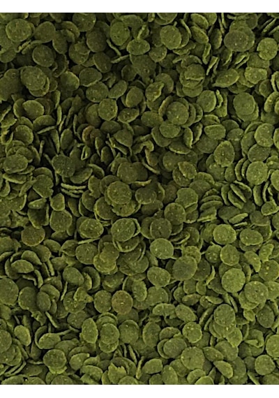 Veggie Green, Veggie Garlic Protein ve Flora 50gr Balık Yemi