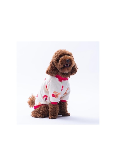 Teddy Bloom Ayıcık Ve Çiçek Desenli Sweat Kedi Köpek Sweati Kedi Köpek Kıyafeti Köpek Peluşu Sıcak Tutan Sweat