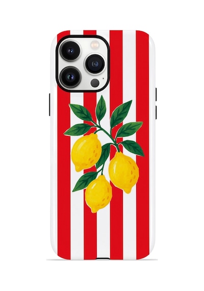 iPhone Uyumlu13 Pro Max Valestra Çift Katmanlı Magsafe Kılıf Liodor