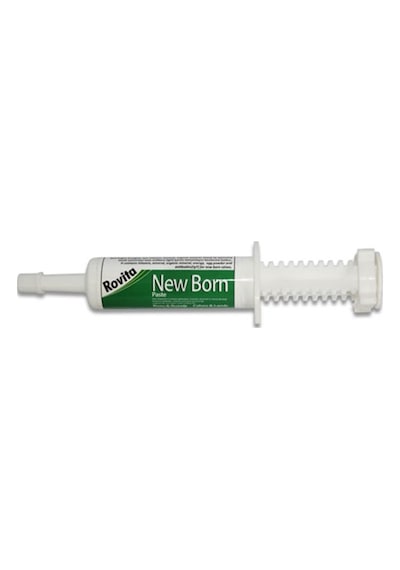 Rovita New Born Paste 20 Ml Kuzu Buzagı