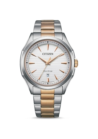 Aw1756-89a Citizen Erkek Kol Saati Metalik