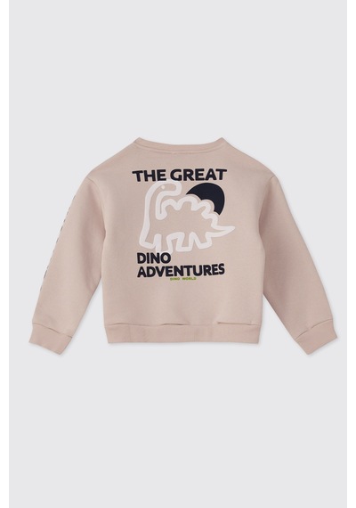 Panço Erkek Bebek Taş Sweatshirt 2521bb08037 Gri