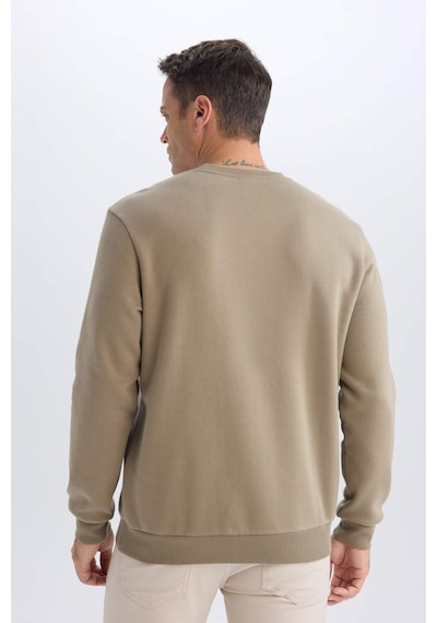DeFacto Regular Fit Bisiklet Yaka Kalın Basic Düz Sweatshirt T3777AZ25SPKH500