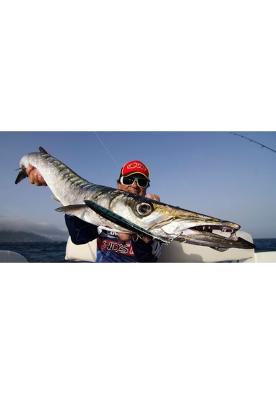 Molix Jugulo Jerk 140Lc 14 Cm. Sahte Balık, -227 Gold Candy