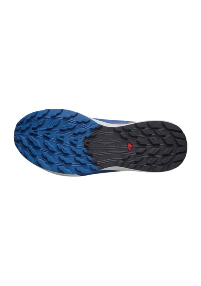 Salomon Sense Rıde 5 5800 Çok Renkli