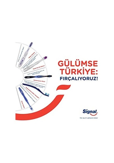 Signal Performans Etkin Diş Temizliği 2+1 Orta Diş Fırçası