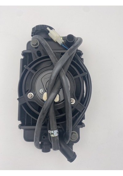 Lifan Kpr 200 Radyatör Set 2