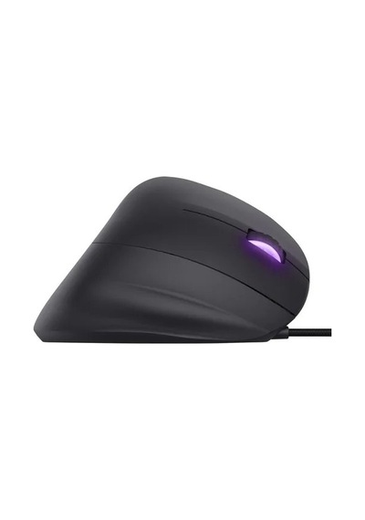 Trust 22991 Gxt144 Rexx Ergonomik Gaming Mouse - Siyah 8713439229912 Diğer