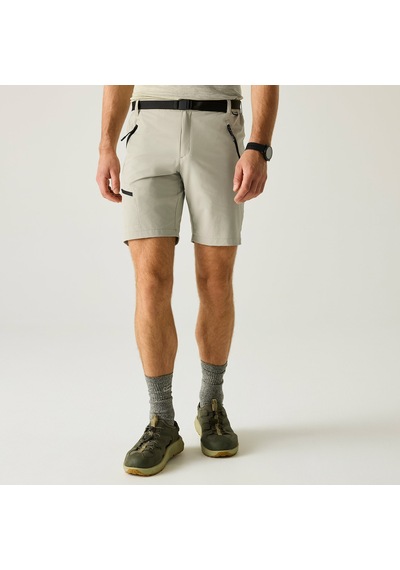 Regatta X-ert Stretch Erkek Şort-yeşil