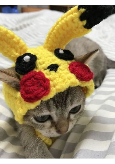 Busako Cat Pikachu Özel Tasarım Kedi Kıyafeti