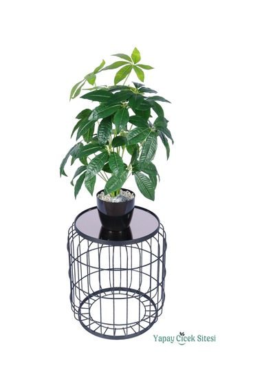 Yapay Çiçek Sitesi Yapay Refah Çiçeği Bitkisi 70 Cm Yeşil