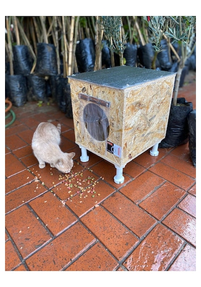 Reyo Narım Dış & Iç Mekan Ahşap Kedi Yuvası, Kedi Barınağı 35x40x35 Monteli Teslimat