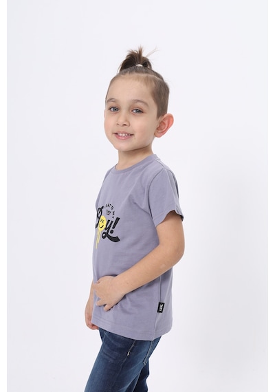 Toontoy Kids Toontoy Erkek Çocuk Bisiklet Yaka Kısa Kollu Baskılı Tişört 24103 Gri