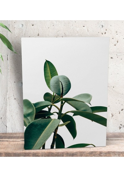 Bk Gift Green Plant Tasarımlı Dekoratif Mini Kanvas Tablo 15X20Cm (506660570)