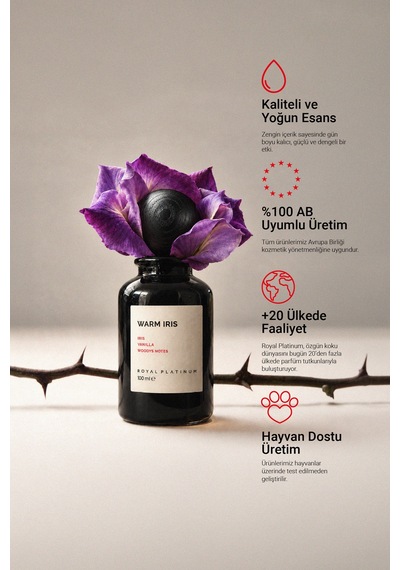 Warm Irıs 100 Ml Nıche Parfüm Odunsu - Oryantal
