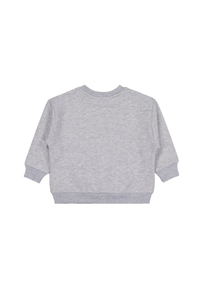 Civil Boys Skater Baskılı 2-5 Yaş Sweatshirt - Gri Grimelanj