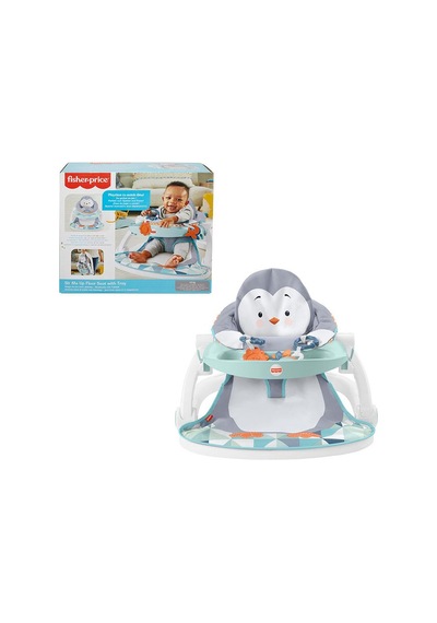 Fisher Price Tepsili Ana Kucağı