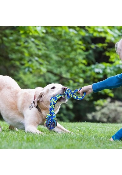 Valkyrie 2 Li Büyük Boy Köpek Halat Oyuncağı Seti Isırma Çekiştirme Diş Kaşıma Eğitim İpi