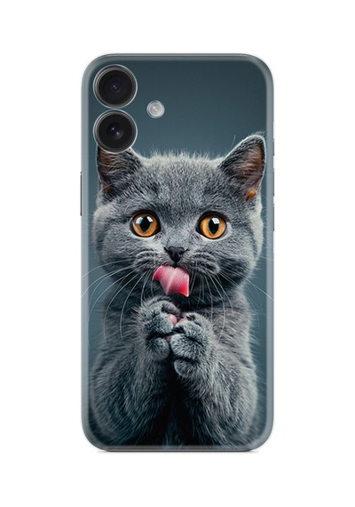 Apple İphone Uyumlu 16 Kılıf Boutique Baskılı Resimli Komik Kedi Pcode -008
